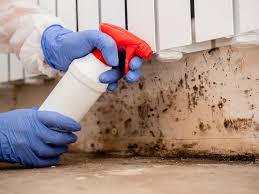 Best Mold Odor Removal Services  in Wolfhurst, OH